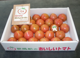 おいしいトマト箱入り